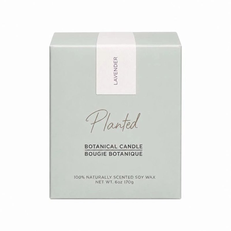Planted Lavender Classic Soy Candle, 6 oz